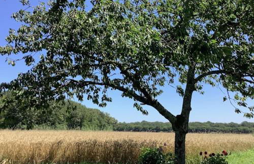 Gîte entre Loire et Campagne - Photo 28