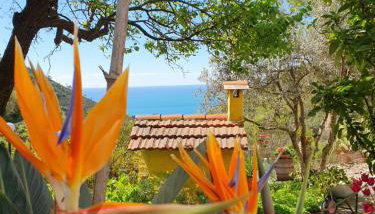 Agriturismo Costa di Campo - Foto 3, Garden, Garden view