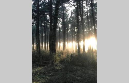 Maison à 300m de la plage, quartier calme - Foto 22