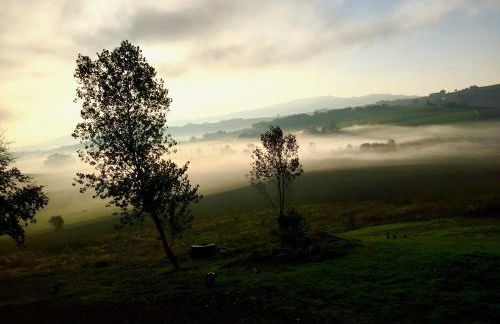 Ritorno alla Natura - Foto 61