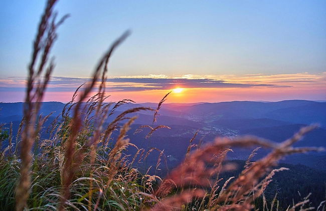 Am Weberfeld, Bodenmais - Foto 20