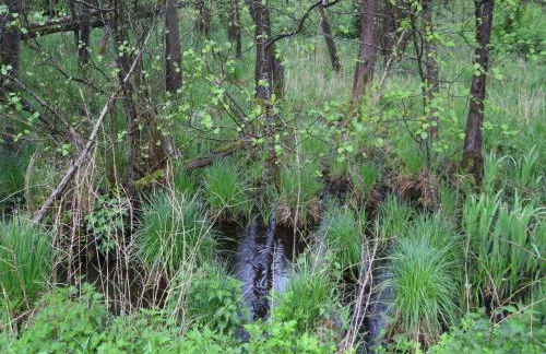 Lakeside Comfort with Balcony - Foto 19