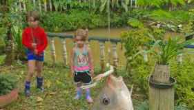 Sítio do Sossego - Foto 4