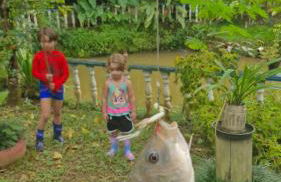 Sítio do Sossego - Foto 4