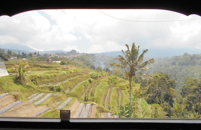 Shangrilah Villas - Foto 41