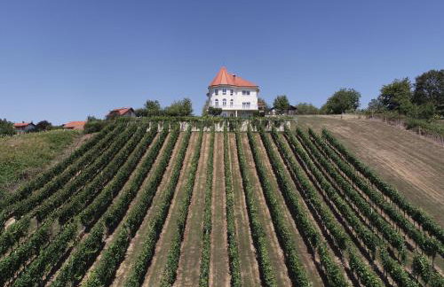 Kuća za odmor Sunce - Foto 37