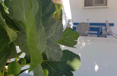 Eleni B&B - Photo 41