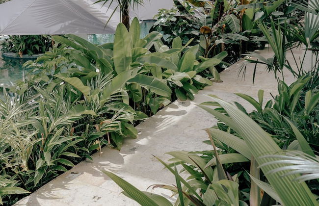 La Gracia Hotel & Spa - Foto 41