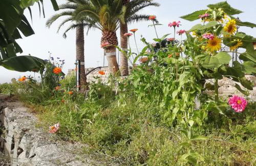 Finca Las Tapias, Casa Mañé - Foto 25