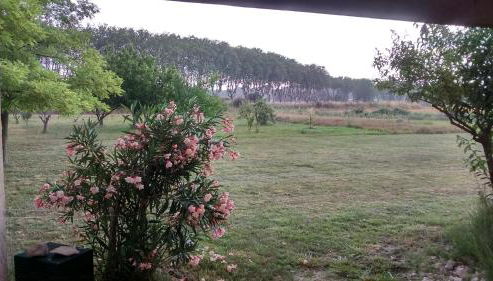 Évasion provençale - Foto 4, Garden