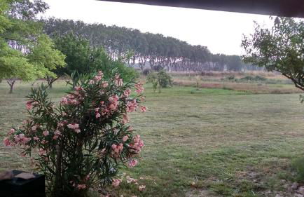 Évasion provençale - Foto 4