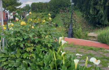 CASA TURÍSTICA Villa Carmen, CON AMPLIO JARDIN QUE INCLUYE BARBACOA, 2 PORCHES, PARKING PRIVADO Y PISCINA - Foto 46