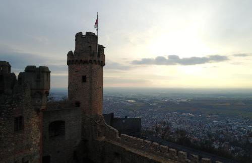 Schloss Auerbach Große Ferienwohnung - Photo 31
