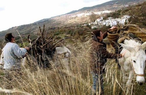 Casa Carmela, rural house with spectacular views, in an exquisite area - Foto 6