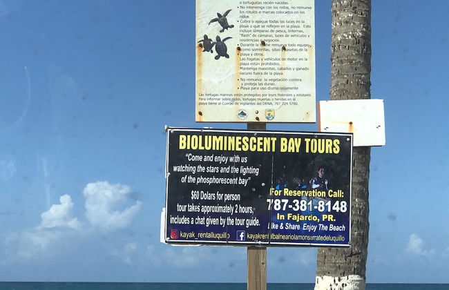 Ocean View Gorgeous 1 Bedroom Apt - Photo 73