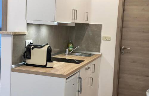 Apartment Komljenovic - Photo 75