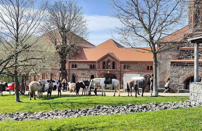 HexenburgbeiDresden Stylishes Designerappartement mit Schlafsofa, Terrasse - Nähe Sächsische Schweiz - Foto 25