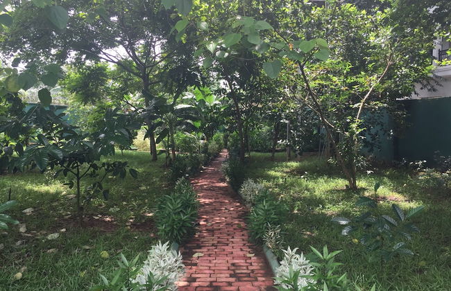 Amadi Villa - Photo 26