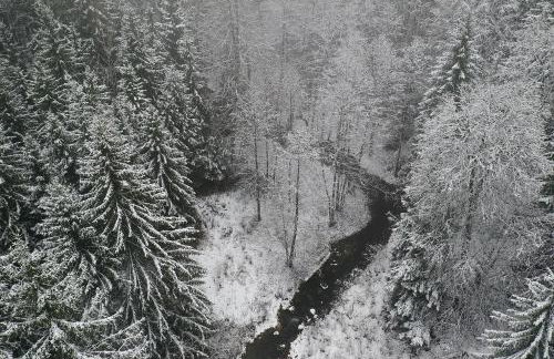 Wigierski Park Narodowy - Foto 24