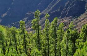 Casa Doris - Foto 36