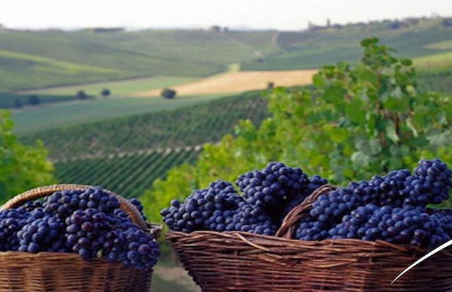 Villa Cometa - Living Fashion - Foto 25