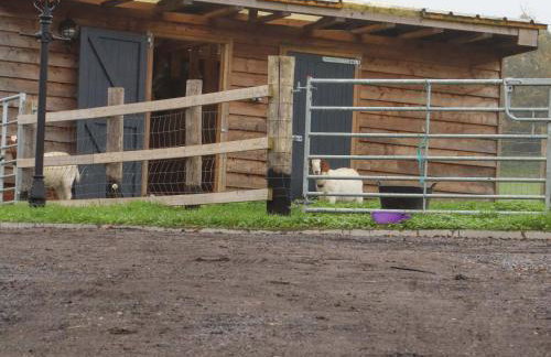 Bee Cottage - Foto 17