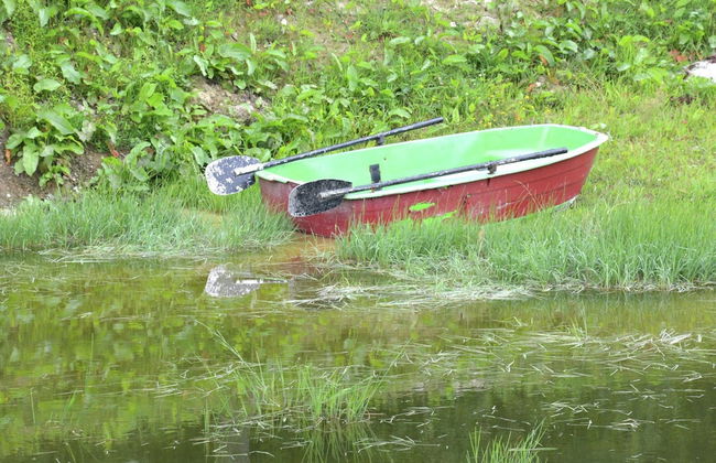 Cozy Mobile Home in Vresse-sur-semois With Terrace - Foto 14