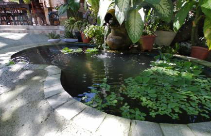 Casa inteira, com sauna, piscina ozonizada, praia Enseada dos Corais, Cabo de Santo Agostinho, Pernambuco, Brasil - Foto 24