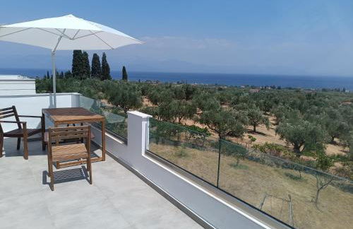 Blue & Green - Foto 2