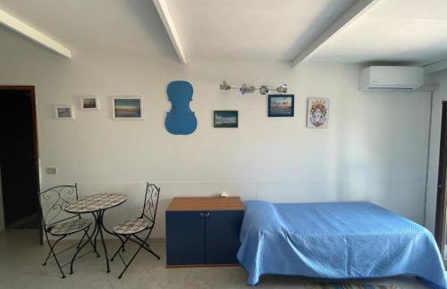 Il Violoncello - Foto 3