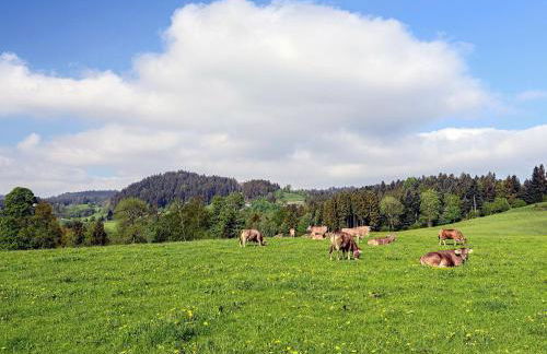 Ferienapartment Allgäuträumchen - modernes Apartment im Allgäu mit Außensitzplatz - Foto 21