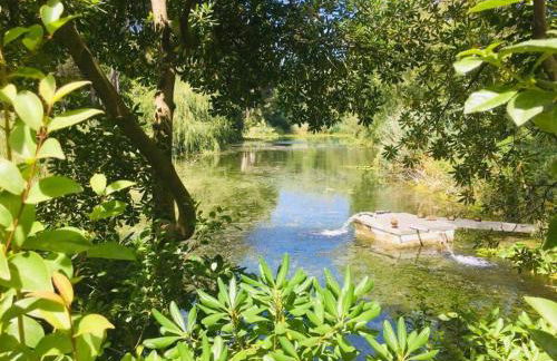 Blue Lagoon - Foto 43