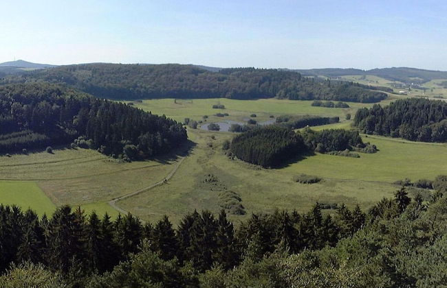 Eifel Farmhouse Retreat - Foto 25