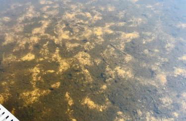 Outstanding Retreat with Dock, Game Space and Lake Views in Wisconsin - Foto 8