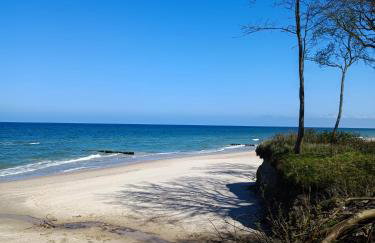 Zalotna Mewa Gąski - Photo 39