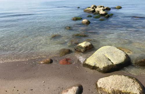 Ferienresidenz am Salzhaff - Foto 62
