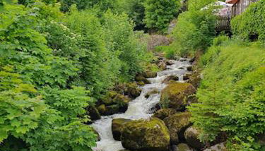 MY HOME AM HEUBERG Nr 6 - Foto 3