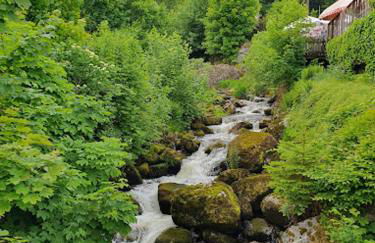 MY HOME Am DISSENHORN - Foto 34