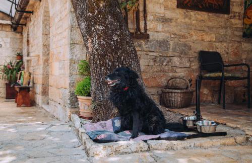 Casa Karnevali - Photo 14