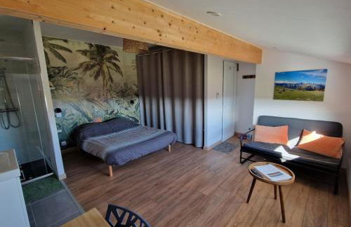 Studio Pyrenées - Photo 1