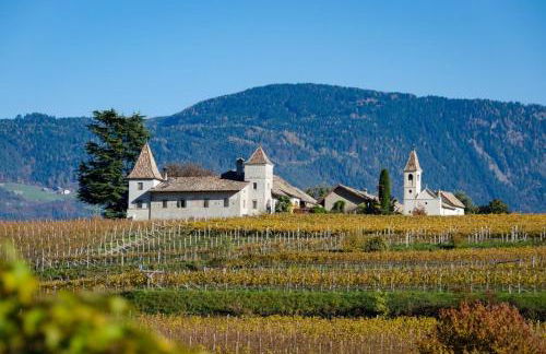 Luisl Hof - Apartment Vitis - Foto 32