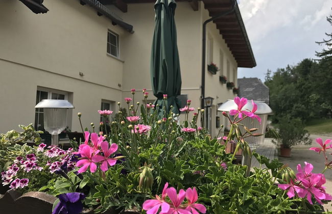 Ferienwohnungen Mamauwiese - Foto 73