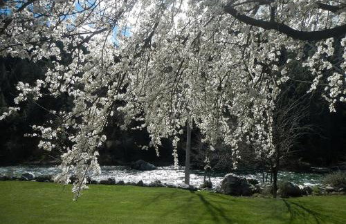 Charming Cottage Rental with Fabulous Views of the Trinity River in Northern California - Foto 56