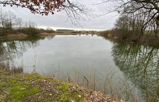 Arresting Apartment near Sea in Klütz - Foto 31