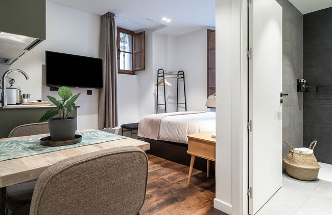 Limehome Vitoria Palacio Álava-Velasco - Foto 18