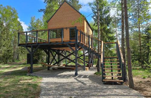 Zdalnie z Lasu - Siedlisko w Puszczy Białowieskiej - Foto 1