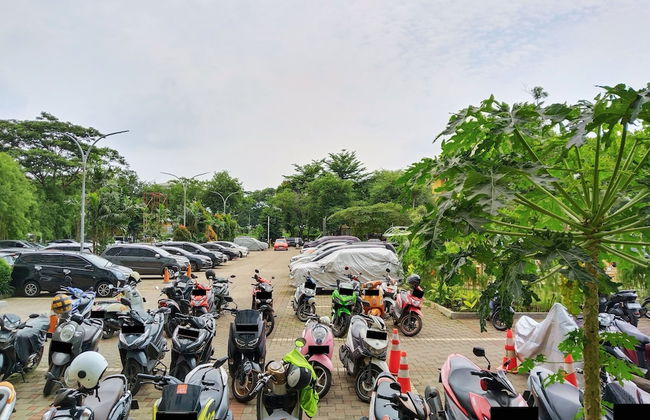 Royale Signature Sapphire - Foto 47