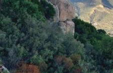 Thilimba Casa Vacanze - Foto 10