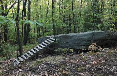 Blue Knob Bear Den (Nordic Center/Golf Course) - Foto 19