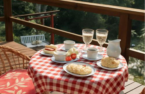 Propriedade inteira e Kombi-home em meio à mata - Foto 2